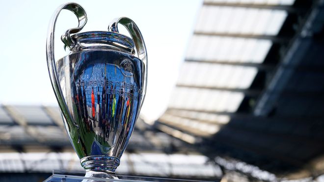 任何一个细 任何一个细